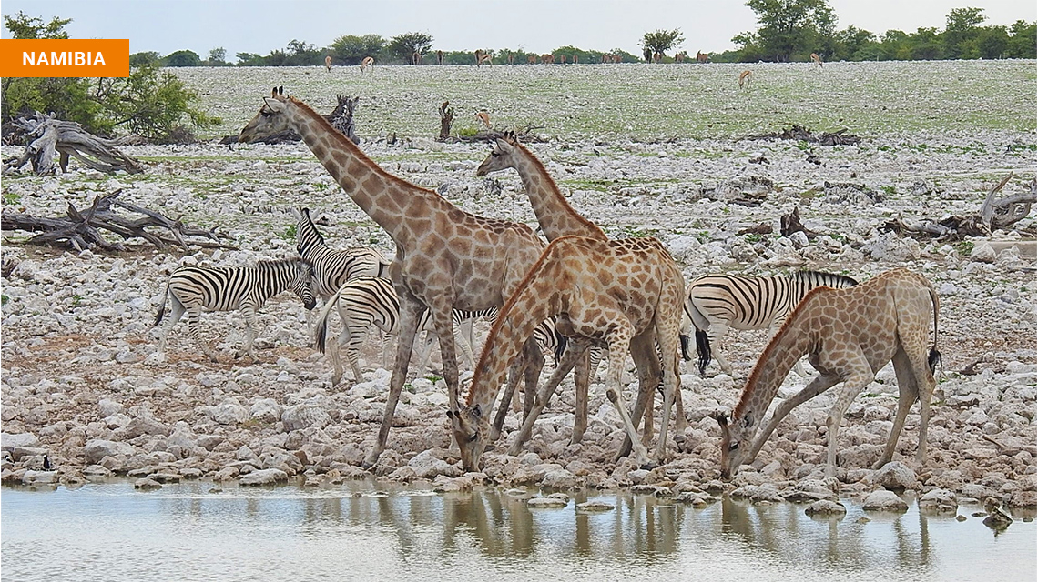 Namibia03